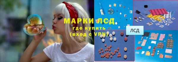 мдпв Дмитриев