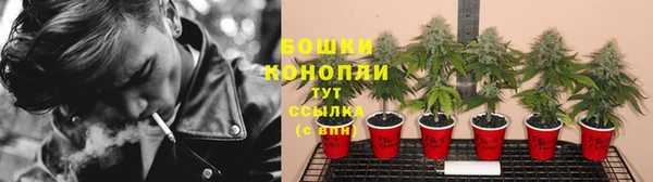 стафф Дмитров