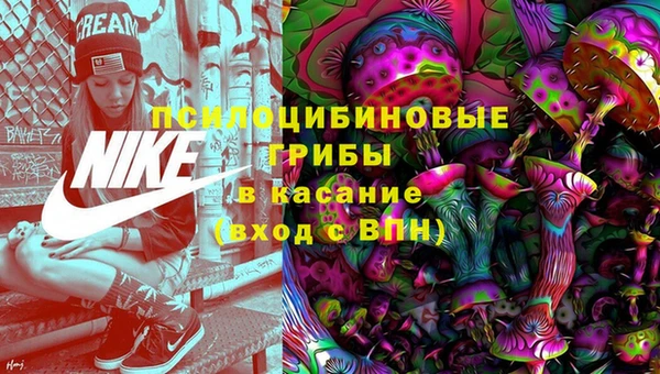 стафф Дмитров
