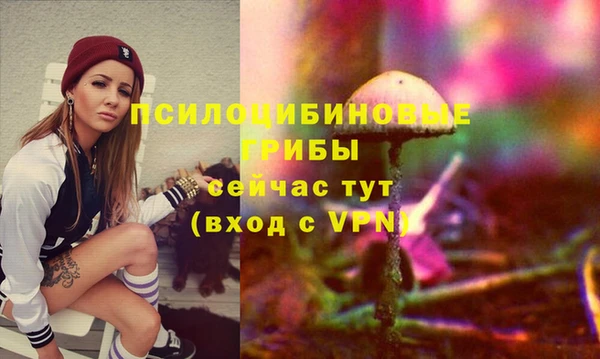 мдпв Дмитриев