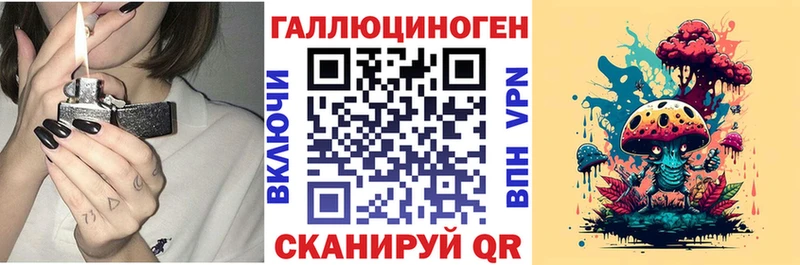 Псилоцибиновые грибы Psilocybe  Приволжский 